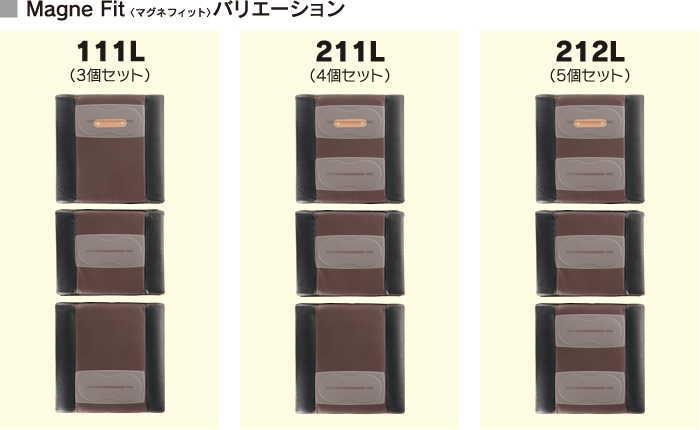 マグネフィットのバリエーション