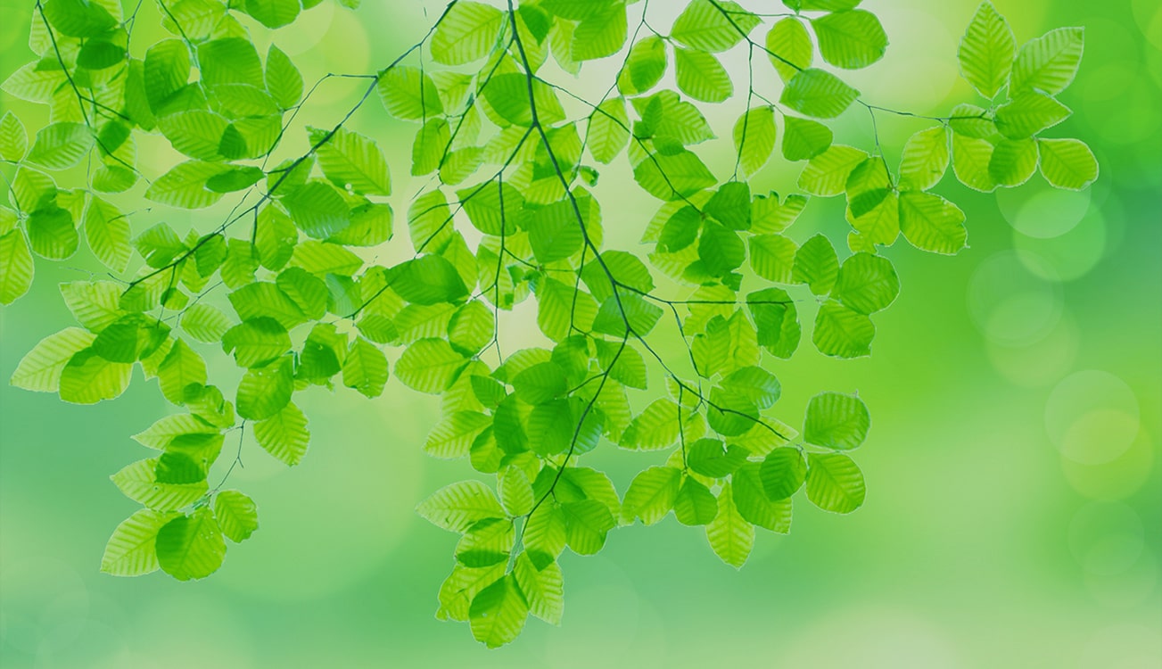 メディカルクリエーション